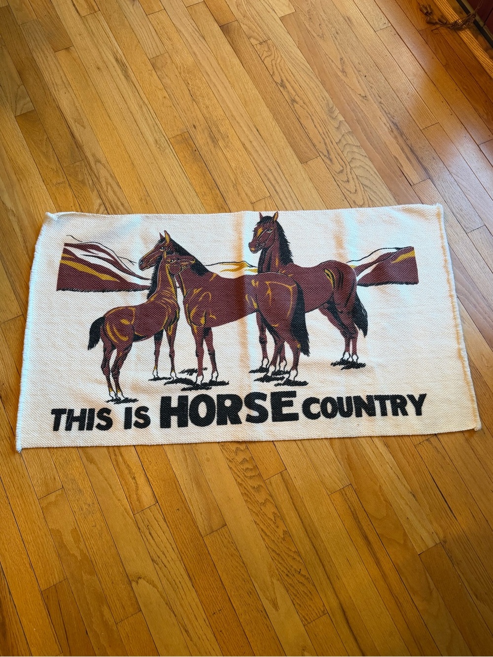 Graphic Horse Country Rug - Three Horses Design